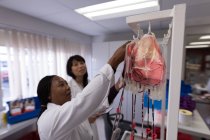 Technicien de laboratoire analysant les poches de sang dans la banque de sang — Photo de stock