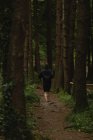 Visão traseira do homem correndo no caminho da floresta — Fotografia de Stock