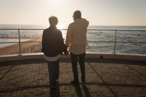 Вид сзади на пожилую пару, стоящую на набережной в солнечный день — стоковое фото
