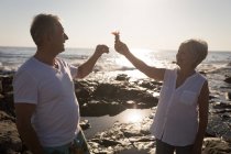 Seniorenpaar spielt an einem sonnigen Tag mit Vogel in der Nähe des Meeres — Stockfoto