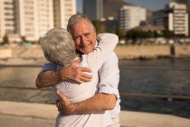 Lächelndes Seniorenpaar umarmt sich an der Promenade — Stockfoto