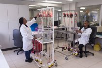 Técnicos de laboratorio analizando bolsas de sangre en banco de sangre - foto de stock
