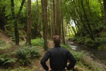 Молодий чоловік стоїть у лісі — стокове фото