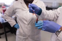 Técnicos de laboratorio analizando muestras de sangre en banco de sangre - foto de stock