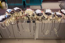Varias bolsas de sangre en el banco de sangre - foto de stock