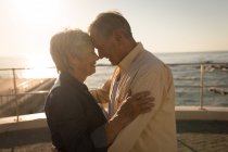 Romantische Senioren stehen an einem sonnigen Tag an der Promenade — Stockfoto
