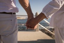 Mid section of senior couple standing at promenade — Stock Photo