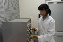 Técnico de laboratorio colocando bolsas de plasma en el gabinete del banco de sangre - foto de stock