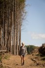 Mujer caminando en el bosque en un día soleado - foto de stock