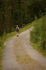 Vue arrière de la femme avec sac à dos marchant dans la forêt — Photo de stock