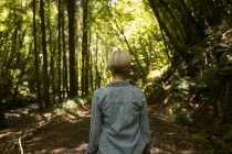 Вид ззаду жінки, що стоїть у лісі — стокове фото