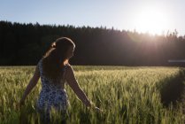 Mulher tocando colheita no campo em um dia ensolarado — Fotografia de Stock