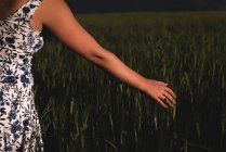 Середина жінки торкається врожаю в полі — стокове фото