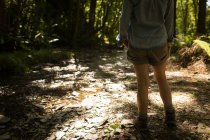 Partie basse de la femme debout dans la forêt — Photo de stock
