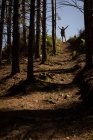 Visão traseira da mulher de pé com os braços para cima na floresta — Fotografia de Stock