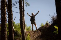 Rückansicht einer Frau, die mit erhobenen Armen im Wald steht — Stockfoto
