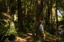 Вдумлива жінка, що стоїть в лісі — стокове фото