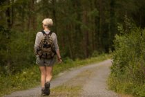 Вид ззаду жінки з рюкзаком, що йде в лісі — стокове фото