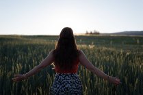 Visão traseira da mulher de pé com os braços estendidos no campo — Fotografia de Stock