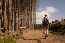 Rückansicht einer Frau, die an einem sonnigen Tag im Wald spazieren geht — Stockfoto