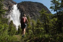 Rückansicht einer Frau beim Anblick eines Wasserfalls — Stockfoto
