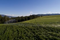 Vista aérea do campo verde no campo — Fotografia de Stock