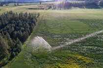 Вид з повітря на зелене поле в сільській місцевості — стокове фото