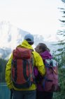 Rückansicht eines Paares, das mit Rucksack in den Bergen steht — Stockfoto
