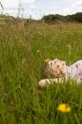 Young woman relaxing in the field — Stock Photo