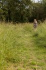 Женщина, гуляющая по полю в сельской местности — стоковое фото