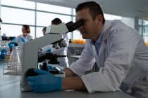 Scienziato maschio che utilizza il microscopio in laboratorio — Foto stock