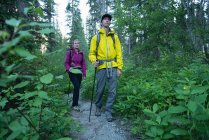 Couple hiking in the forest — Stock Photo