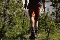 Low section of man walking with hiking pole at countryside — Stock Photo