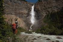 Жіночий пішохід дивиться на водоспад в горах — стокове фото