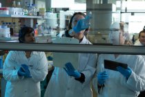 Команда ученых обсуждает на стеклянной стене в лаборатории — стоковое фото