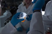 Крупним планом вченого з використанням піпетки в лабораторії — стокове фото
