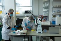 Scientifiques expérimentant ensemble en laboratoire — Photo de stock