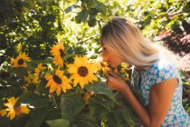 Молодая женщина нюхает подсолнух в саду — стоковое фото