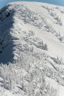 Grupo de esquiadores caminando en una montaña nevada durante el invierno - foto de stock