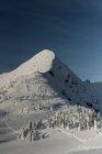 Montagne enneigée pendant l'hiver — Photo de stock