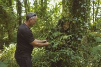 Uomo salvataggio donna bloccato in cespugli nella foresta — Foto stock