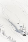 Ski skieur sur une montagne enneigée en hiver — Photo de stock