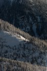 Montañas cubiertas de nieve durante el invierno - foto de stock