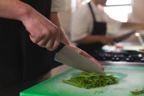 Sección media de chef hembra cortando verduras en la cocina - foto de stock