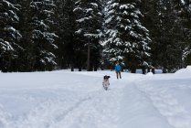 Cão correndo na paisagem de neve durante o inverno — Fotografia de Stock