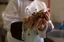 Крупный план шеф-повара, держащего гриб в руке в ресторане — стоковое фото