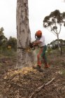 Ламбержек тримає бензопилу в лісі на сільській місцевості — стокове фото