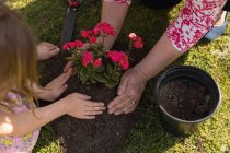 Close-up of grandmother and granddaughter planting in the garden — Stock Photo