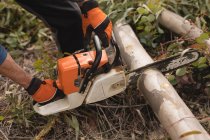 Seção média de lenhador com motosserra cortando árvore morta na floresta — Fotografia de Stock
