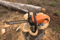 Close-up of chainsaw on tree stump in forest — Stock Photo